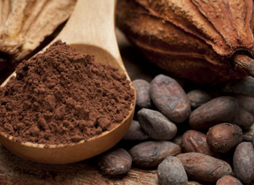 Supercritical CO2  Oils & Oleoesins